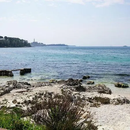In With Sea View, Balcony, Air Conditioning, W-lan 81-3 * Rovinj